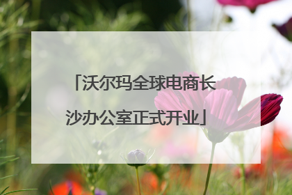 沃尔玛全球电商长沙办公室正式开业