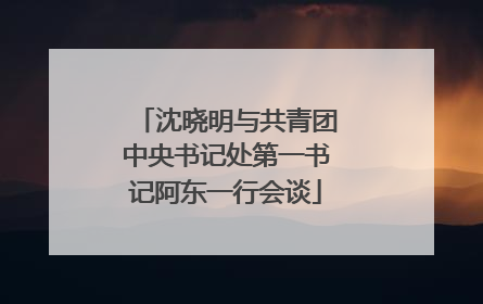 沈晓明与共青团中央书记处第一书记阿东一行会谈