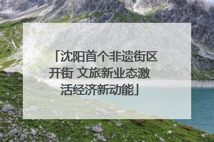 沈阳首个非遗街区开街 文旅新业态激活经济新动能