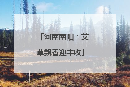 河南南阳：艾草飘香迎丰收