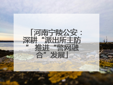 河南宁陵公安：深耕“派出所主防” 推进“警网融合”发展