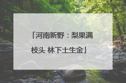 河南新野：梨果满枝头 林下土生金