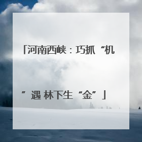 河南西峡：巧抓“机”遇 林下生“金”