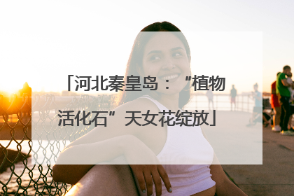 河北秦皇岛：“植物活化石”天女花绽放