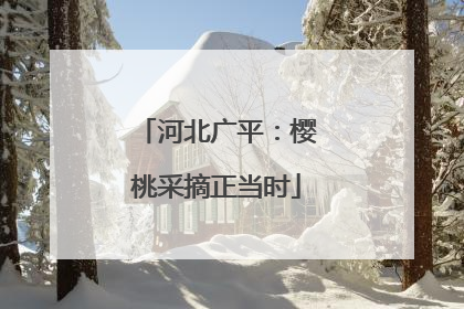 河北广平：樱桃采摘正当时