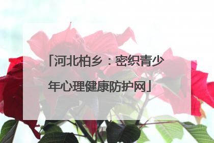 河北柏乡：密织青少年心理健康防护网