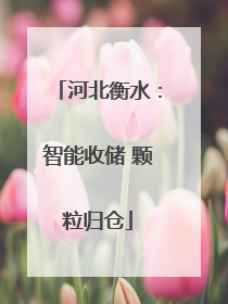 河北衡水：智能收储 颗粒归仓