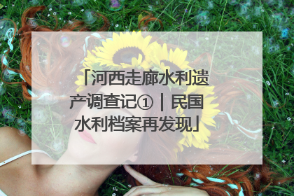 河西走廊水利遗产调查记①｜民国水利档案再发现