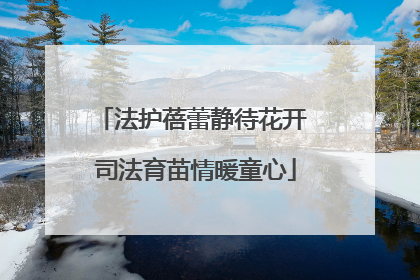 法护蓓蕾静待花开 司法育苗情暖童心