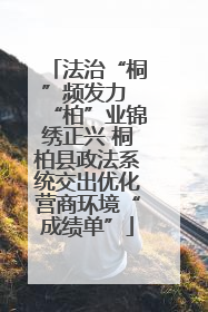 法治“桐”频发力 “柏”业锦绣正兴 桐柏县政法系统交出优化营商环境“成绩单”