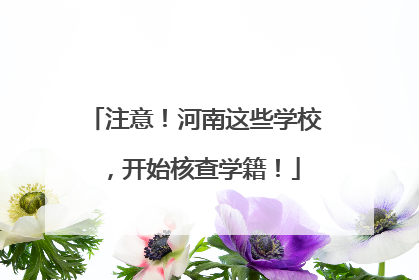 注意！河南这些学校，开始核查学籍！