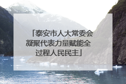 泰安市人大常委会凝聚代表力量赋能全过程人民民主