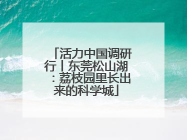 活力中国调研行丨东莞松山湖：荔枝园里长出来的科学城