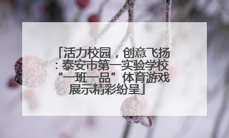 活力校园，创意飞扬：泰安市第一实验学校“一班一品”体育游戏展示精彩纷呈