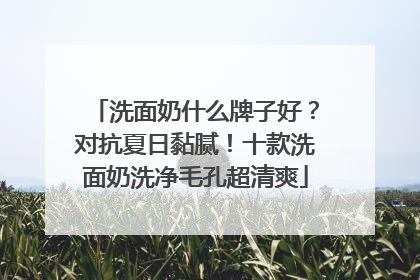 洗面奶什么牌子好？对抗夏日黏腻！十款洗面奶洗净毛孔超清爽