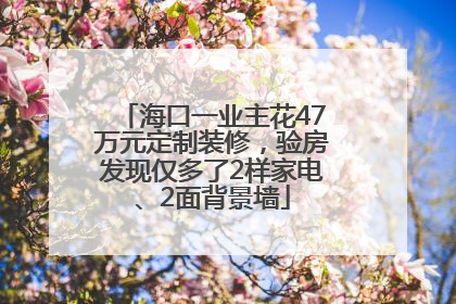 海口一业主花47万元定制装修，验房发现仅多了2样家电、2面背景墙