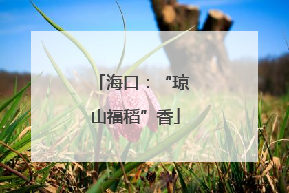 海口：“琼山福稻”香