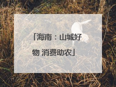 海南：山城好物 消费助农