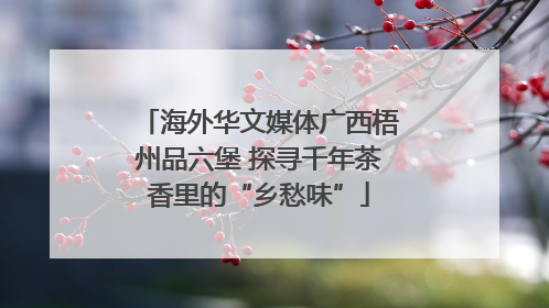 海外华文媒体广西梧州品六堡 探寻千年茶香里的“乡愁味”