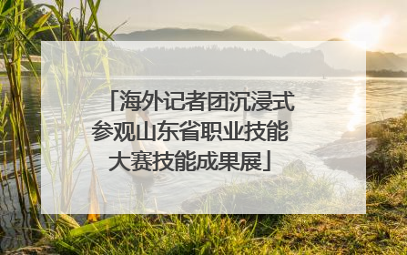 海外记者团沉浸式参观山东省职业技能大赛技能成果展