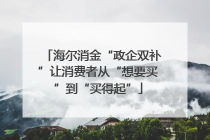 海尔消金“政企双补”让消费者从“想要买”到“买得起”