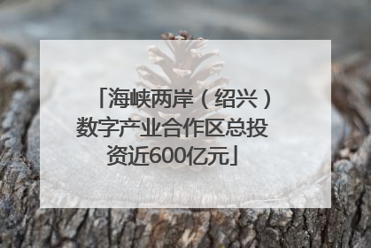 海峡两岸（绍兴）数字产业合作区总投资近600亿元