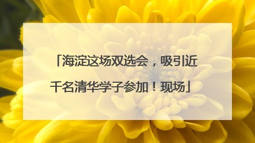 海淀这场双选会，吸引近千名清华学子参加！现场
