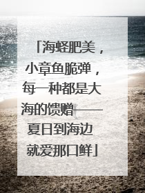 海蛏肥美，小章鱼脆弹，每一种都是大海的馈赠——夏日到海边 就爱那口鲜