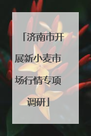 济南市开展新小麦市场行情专项调研