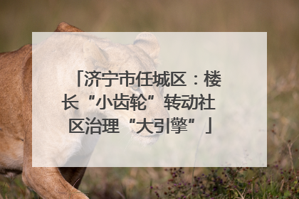 济宁市任城区：楼长“小齿轮”转动社区治理“大引擎”