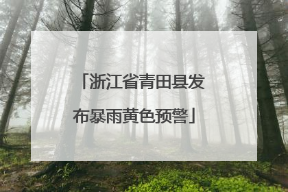 浙江省青田县发布暴雨黄色预警