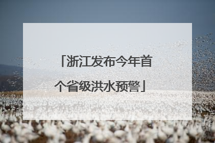 浙江发布今年首个省级洪水预警