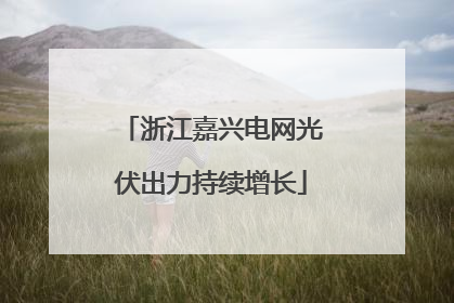 浙江嘉兴电网光伏出力持续增长