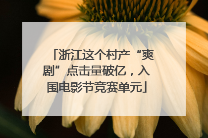 浙江这个村产“爽剧”点击量破亿，入围电影节竞赛单元