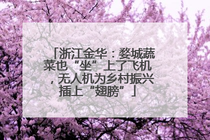 浙江金华：婺城蔬菜也“坐”上了飞机，无人机为乡村振兴插上“翅膀”