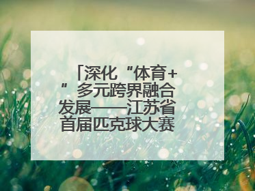 深化“体育+”多元跨界融合发展——江苏省首届匹克球大赛在无锡开赛