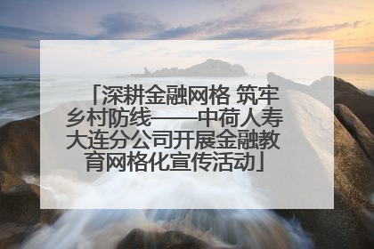 深耕金融网格 筑牢乡村防线——中荷人寿大连分公司开展金融教育网格化宣传活动