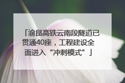 渝昆高铁云南段隧道已贯通40座，工程建设全面进入“冲刺模式”