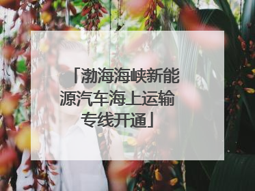 渤海海峡新能源汽车海上运输专线开通