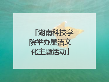 湖南科技学院举办廉洁文化主题活动