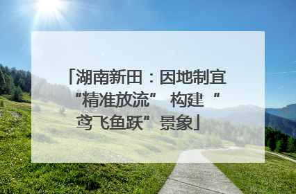 湖南新田：因地制宜“精准放流” 构建“鸢飞鱼跃”景象
