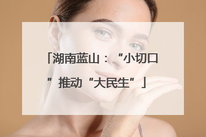 湖南蓝山：“小切口”推动“大民生”
