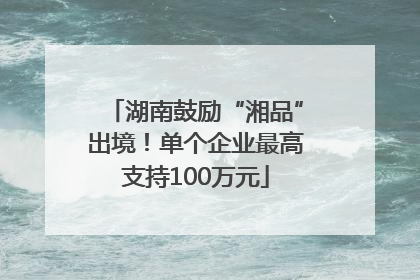 湖南鼓励“湘品”出境！单个企业最高支持100万元