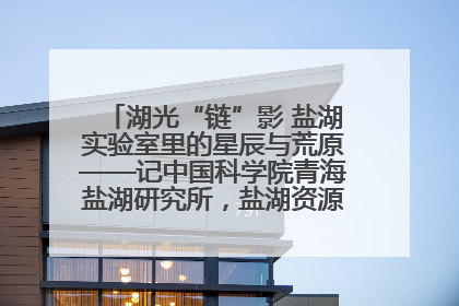 湖光“链”影 盐湖实验室里的星辰与荒原——记中国科学院青海盐湖研究所，盐湖资源化学实验室党总支书记、副主任刘忠