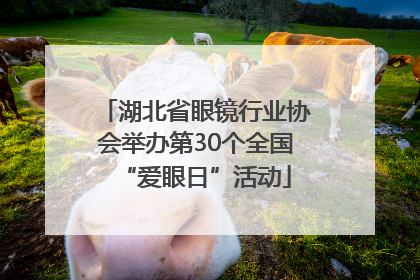 湖北省眼镜行业协会举办第30个全国“爱眼日”活动