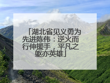 湖北省见义勇为先进陈伟：逆火而行伸援手，平凡之躯亦英雄