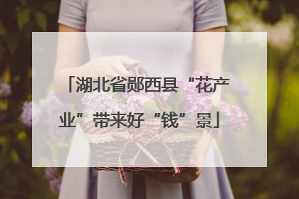 湖北省郧西县“花产业”带来好“钱”景