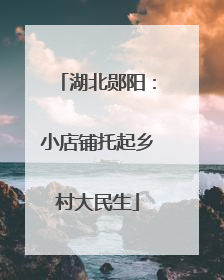 湖北郧阳：小店铺托起乡村大民生