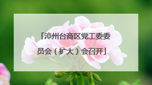 漳州台商区党工委委员会（扩大）会召开