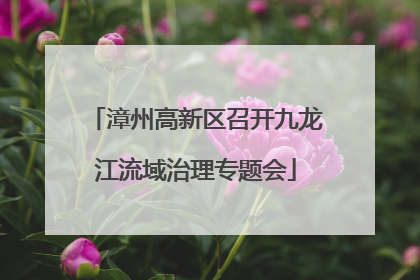 漳州高新区召开九龙江流域治理专题会